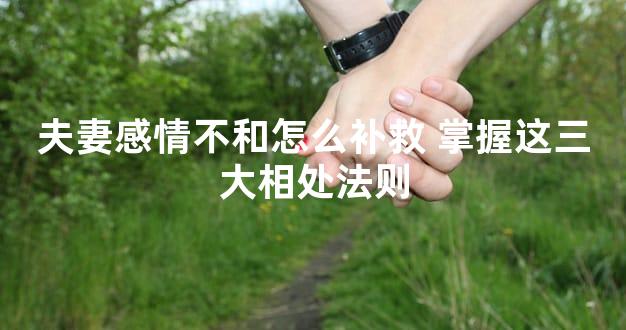 夫妻感情不和怎么补救 掌握这三大相处法则